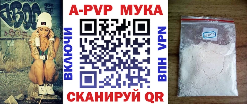 LSD-25 Курчалой