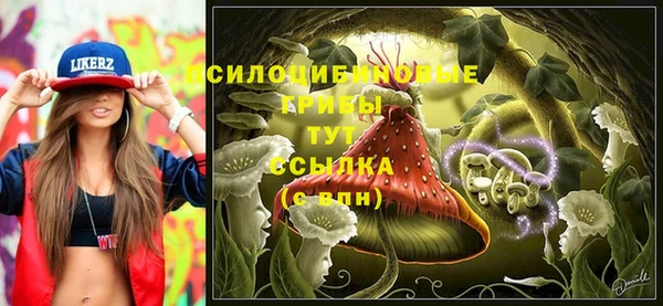 дживик Арсеньев