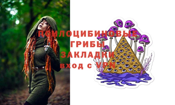 дживик Арсеньев