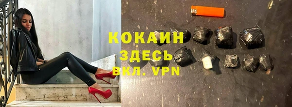 дживик Арсеньев