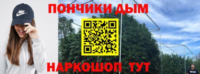 индика Кимры