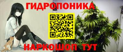 индика Кимры