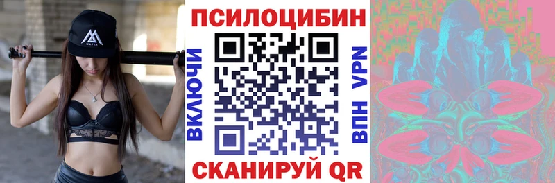 дарк нет формула  Курчалой  Псилоцибиновые грибы ЛСД 