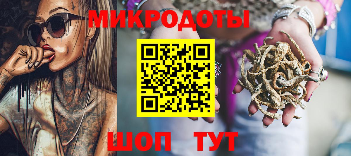Псилоцибиновые грибы мицелий  Псилоцибиновые грибы Cubensis  Курчалой  где продают наркотики  Вход с VPN 