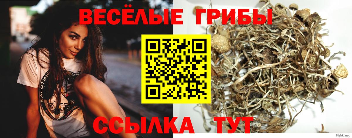 Псилоцибиновые грибы ЛСД Курчалой